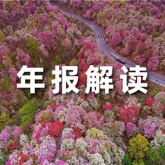ky开元集团2025营收利润双增，全栈智能驱动增长，AI相关业务收入占比达52.6%   